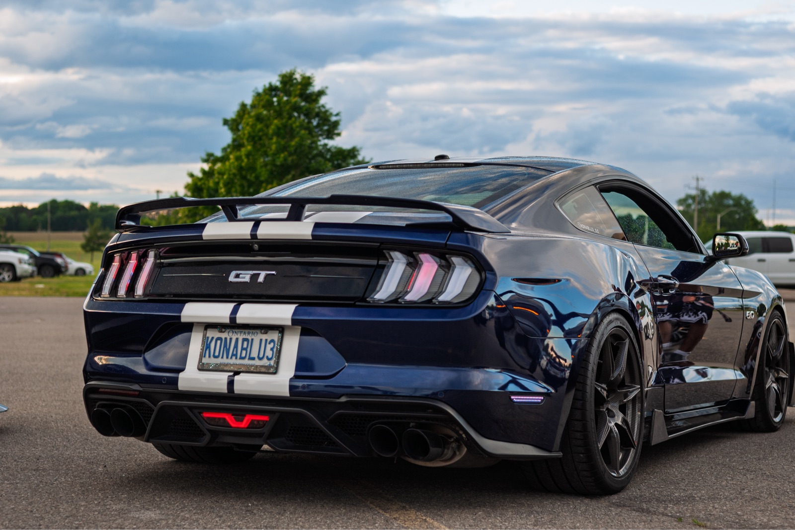 2019 Ford Mustang GT build – photo 1